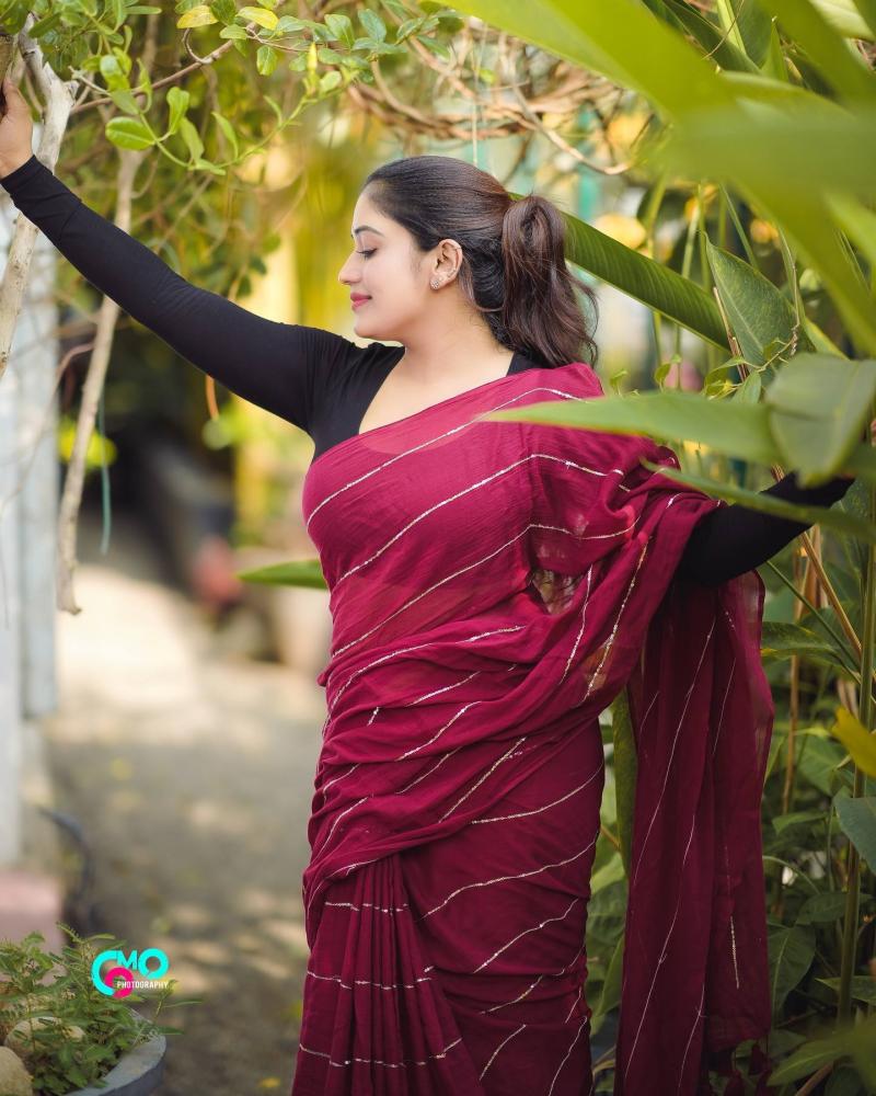 anumol-looking-glamorous-in-saree